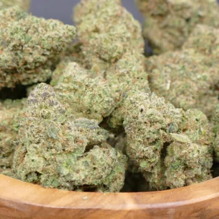 northern lights