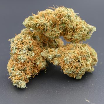 gorilla mandarine