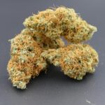 Gorilla Mandarine 1 Gorilla Mandarine