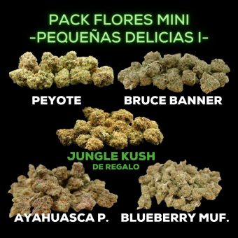 FLORES MINI