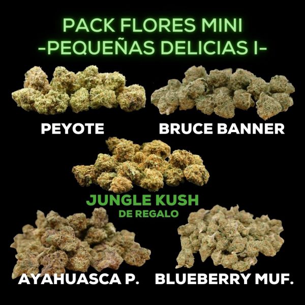 FLORES MINI