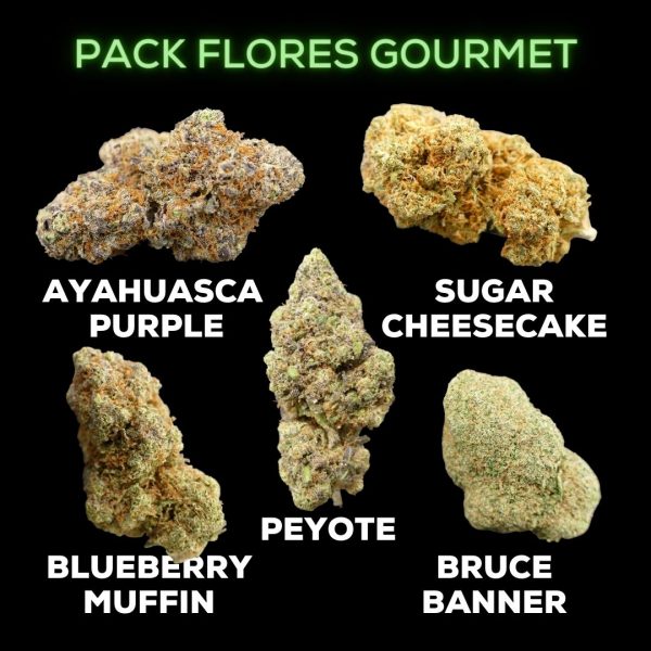 PACK GOURMET