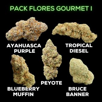 Pack Flores Gourmet I