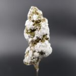 Flor Nevada