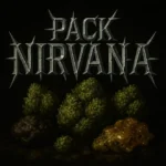 PACK NIRVANA