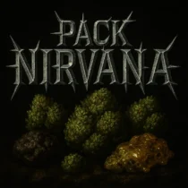 PACK NIRVANA