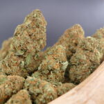 Strawberry Gelato