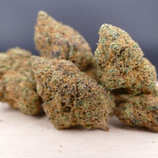 Gods Gift hydro