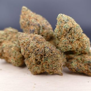 Gods Gift hydro