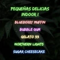 pack pequeñas delicias indoor