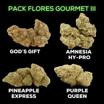 Pack Flores Gourmet III