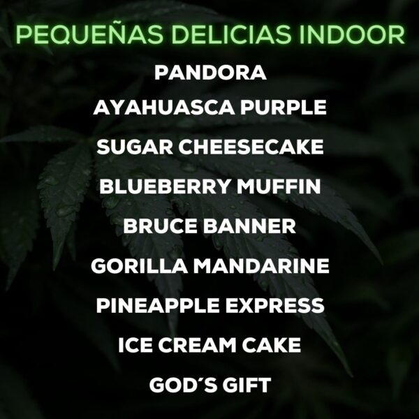 Pequeñas Delicias Indoor