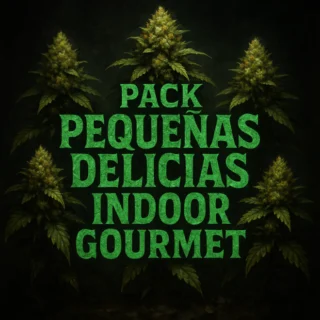 PACK PEQUEÑAS DELICIAS INDOOR GOURMET