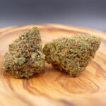 critical mango