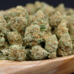 Cogollos pequeños Gorilla Mandarine 1 Cogollos pequeños gorilla mandarine