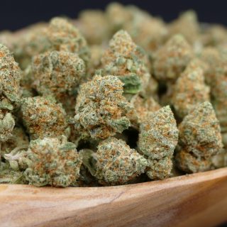 Cogollos pequeños gorilla mandarine