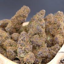 Purple Haze