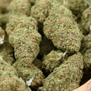 critical+