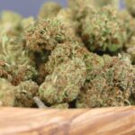 Minibuds Red Dragon