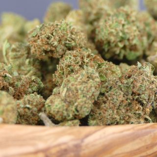 Minibuds Red Dragon