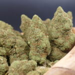 Royal Skunk ¡Oferta 2x1!