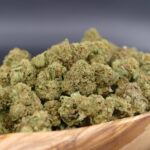 small-buds-critical–scaled