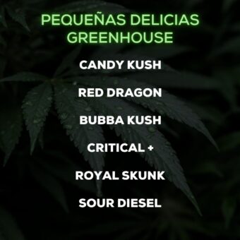 Pequeñas Delicias Greenhouse