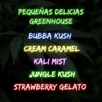 Pequeñas Delicias Greenhouse