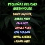 pack pequeñas delicias greenhouse