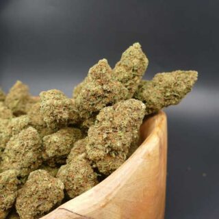 Gelato 41