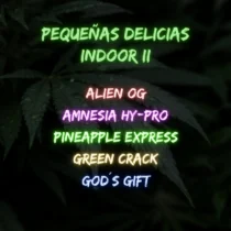 pack pequeñas delicias indoor