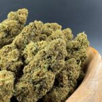 Amnesia Apple Outlet 1€/gr