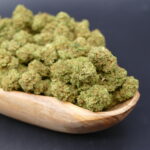 Green Dragon