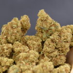 Lemon Haze