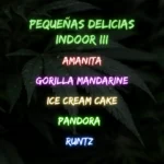 pequeñas delicias indoor III