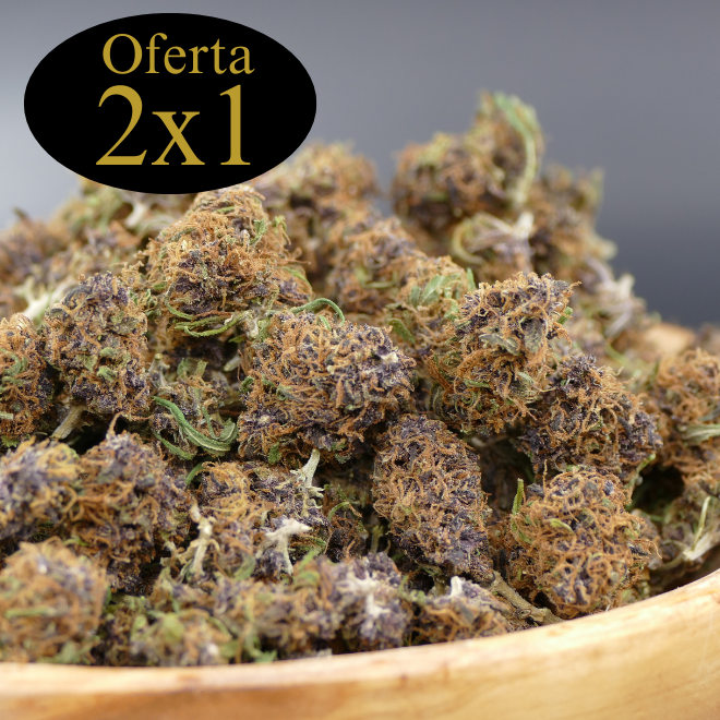 Purple Haze 2x1 Purple Haze 2x1