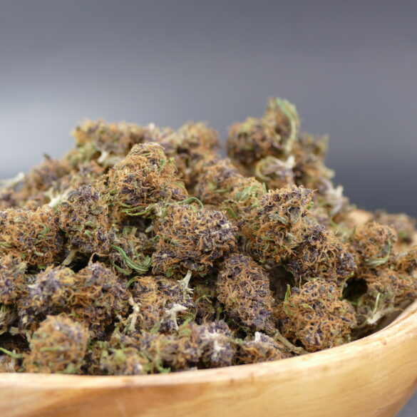 purple haze minibuds