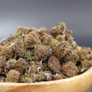 purple haze minibuds