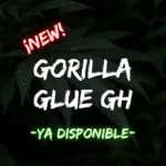 Gorilla Glue greenhouse