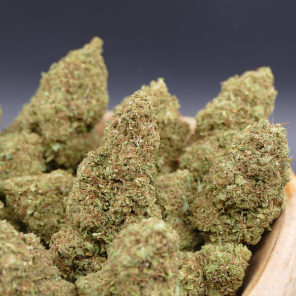 Papaya CBD