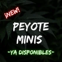 Peyote Minis