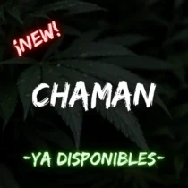 Chaman