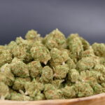 Blueberry Muffin Pequeños