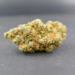 Blueberry Muffin