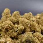 Candy Kush
