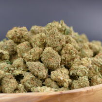 Opium Minis