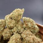 Sour Diesel