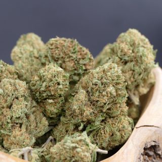 Gorilla Cookies