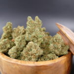 Animal Cookies 1 Animal Cookies