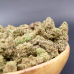 Dutch Punch Cogollos Pequeños 1 Dutch Punch Cogollos Pequeños